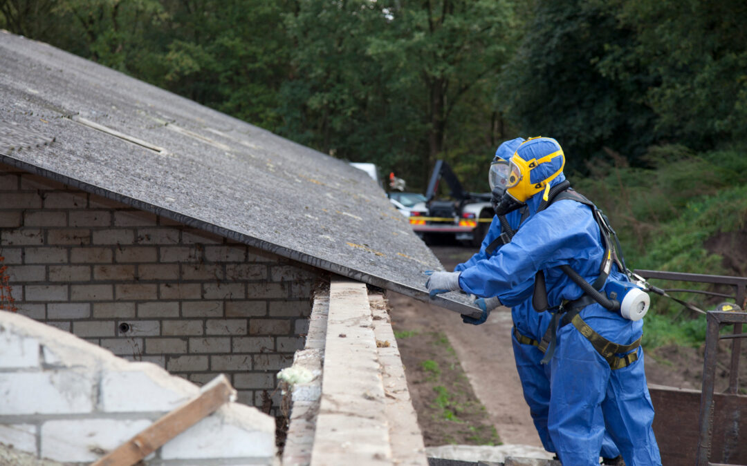 Why Professional Asbestos Junk Removal Matters for Your Business