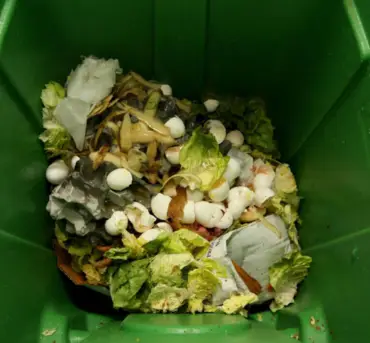 Sustainable Food Waste Disposal Practices 1 image siz 370 x 343
